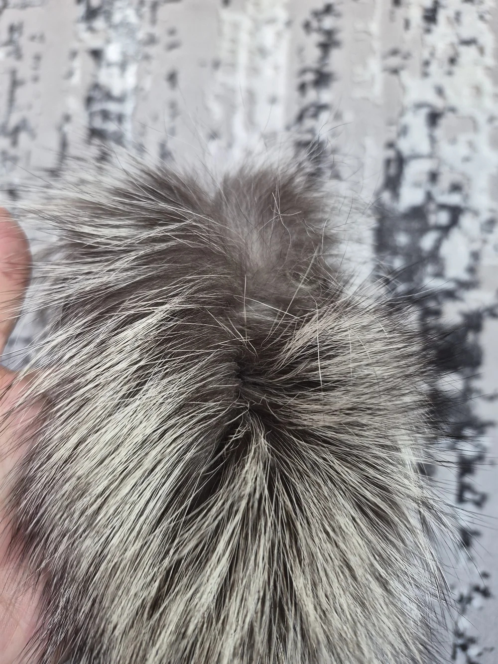 Luxury F Fur Collar in Taupe 31 Inch Collar With Snap buttons
